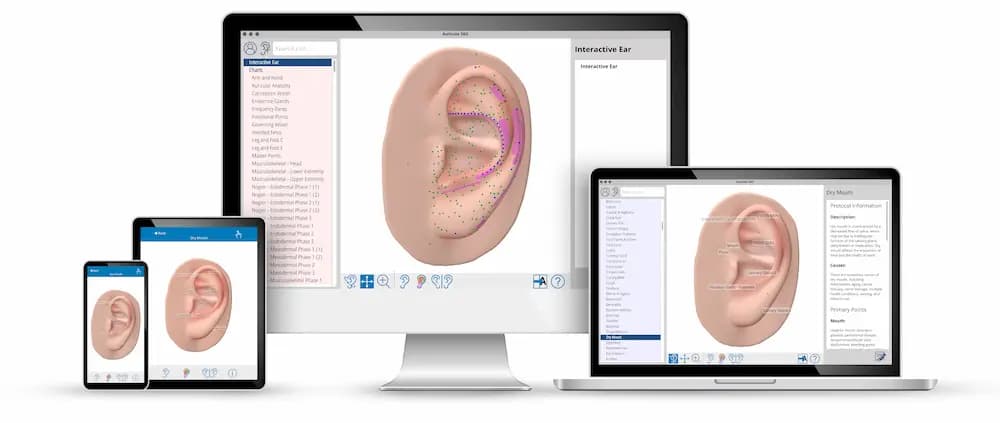 Auriculo 360 on phone, tablet, desktop, and laptop, showing the 3D ear and a protocol view.