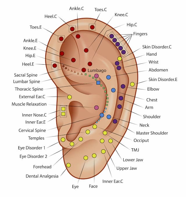 Bad Auriculotherapy Chart